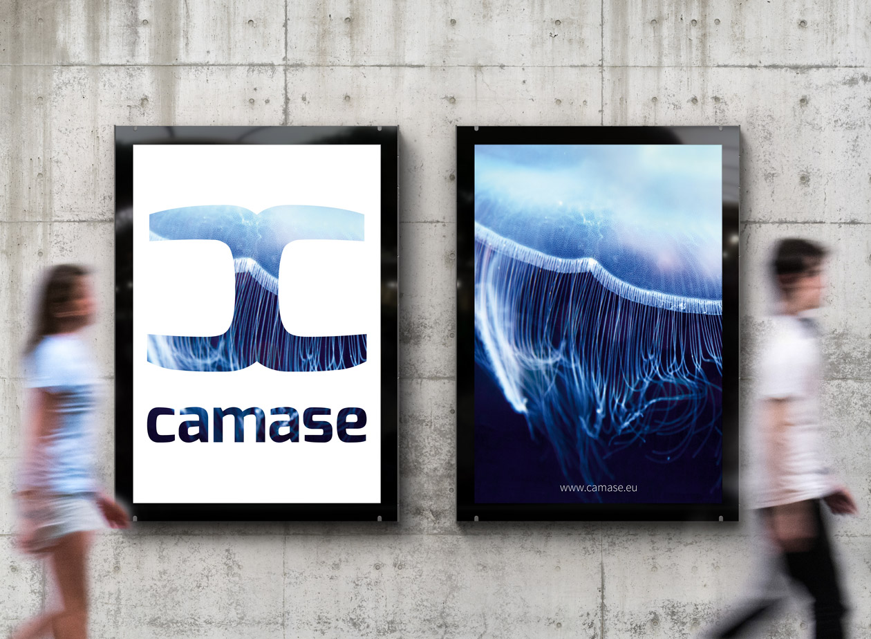 camase logo design branding webdesign